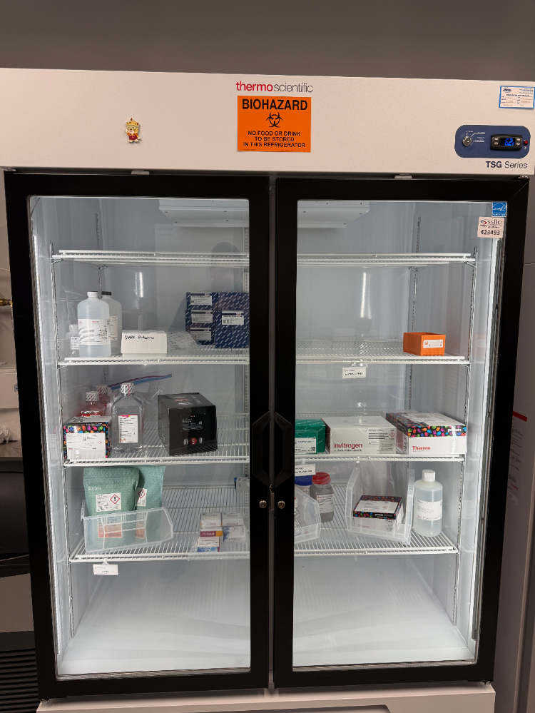 Image of Thermo TSQ Double Door Refrigerator